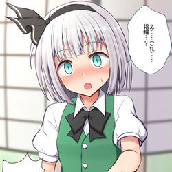 This is a pixiv picture whose title is 妖夢ちゃんにプロポーズする.