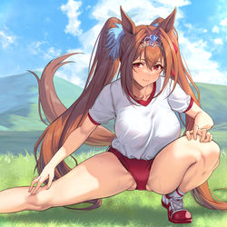 This is a pixiv picture whose title is ダイワスカーレット.