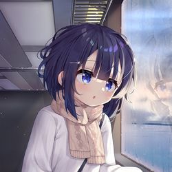 This is a pixiv picture whose title is 旅の途中（列車シーリズフユちゃん）.