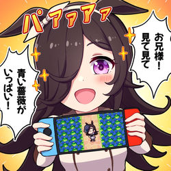 This is a pixiv picture whose title is あつ森するライス.