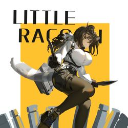 This is a pixiv picture whose title is racoon.