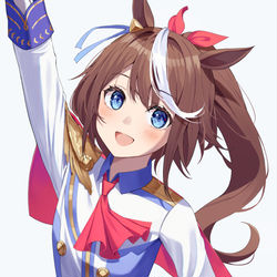 This is a pixiv picture whose title is トウカイテイオー.