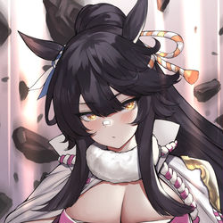 This is a pixiv picture whose title is ナリタブライアン.