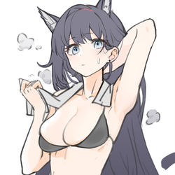 This is a pixiv picture whose title is ブレイズ.