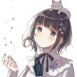 This is a pixiv picture whose title is 雨降り.