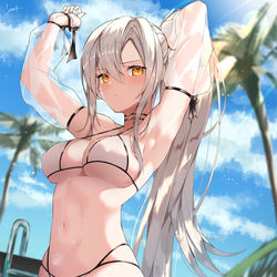 This is a pixiv picture whose title is 水も滴るいい女.