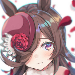 This is a pixiv picture whose title is 赤ライス.