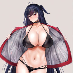 This is a pixiv picture whose title is RQ大鳳.