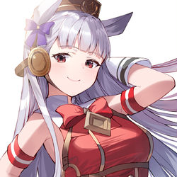 This is a pixiv picture whose title is ゴールドシップ.