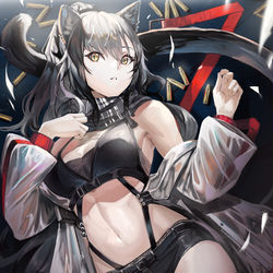 This is a pixiv picture whose title is シュヴァルツ.