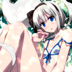 This is a pixiv picture whose title is 木陰の水着妖夢ちゃん！.