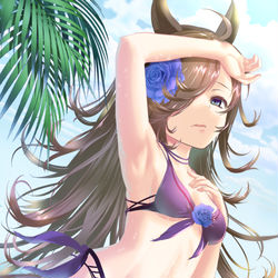 This is a pixiv picture whose title is ライスシャワーインビキニ.