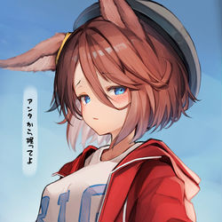 This is a pixiv picture whose title is ナリタタイシン.