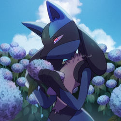 This is a pixiv picture whose title is 蒼の季節.