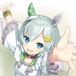 This is a pixiv picture whose title is セイウンスカイ.