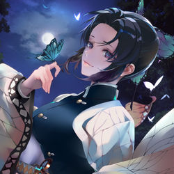 This is a pixiv picture whose title is 胡蝶しのぶ.
