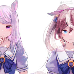 This is a pixiv picture whose title is 精神的うまぴょい.