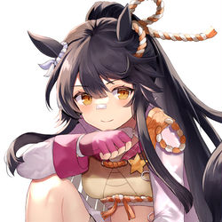 This is a pixiv picture whose title is ナリタブライアン.