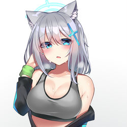 This is a pixiv picture whose title is スポーツシロコ.