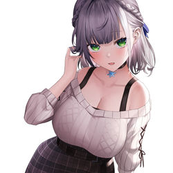 This is a pixiv picture whose title is 白銀ノエル.