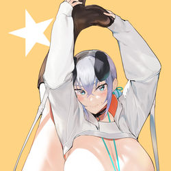 This is a pixiv picture whose title is うちのこI字バランス部.