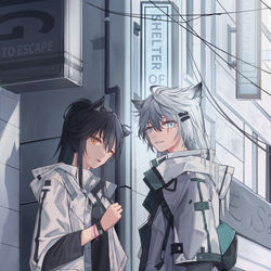 This is a pixiv picture whose title is 德克萨斯生日快乐.