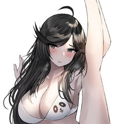This is a pixiv picture whose title is 🐼Liu.