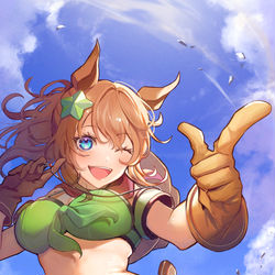 This is a pixiv picture whose title is タイキシャトル.