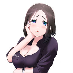 This is a pixiv picture whose title is waifu assistant.