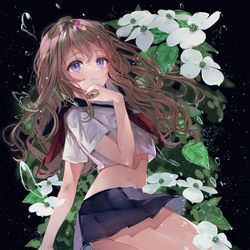 This is a pixiv picture whose title is 雨濡れハナミズキ.