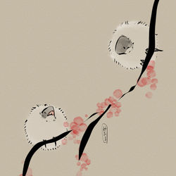 This is a pixiv picture whose title is 6/6.