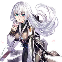 This is a pixiv picture whose title is 姫.