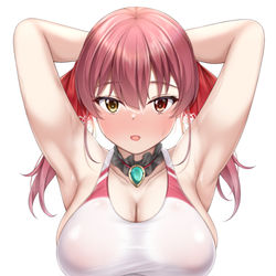 This is a pixiv picture whose title is マリン.