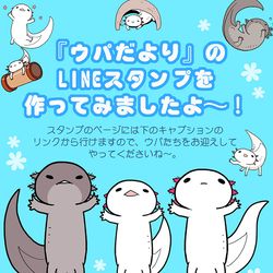 This is a pixiv picture whose title is 【ウパだより】ウーパールーパースタンプ.