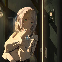 This is a pixiv picture whose title is 団長.