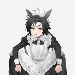 This is a pixiv picture whose title is メイドシャ.