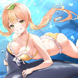 This is a pixiv picture whose title is Dolphin.