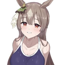 This is a pixiv picture whose title is サトノダイヤモンドのスク水見たい.