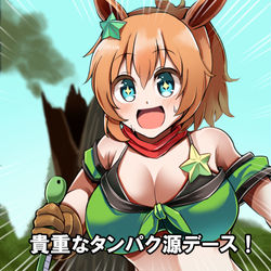This is a pixiv picture whose title is サバイバルをするタイキシャトル.