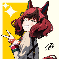 This is a pixiv picture whose title is ナイスネイチャ.