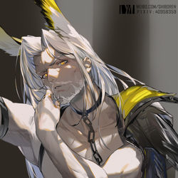This is a pixiv picture whose title is 白毛.