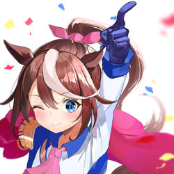 This is a pixiv picture whose title is トウカイテイオー.