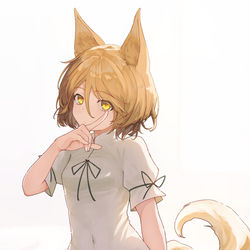 This is a pixiv picture whose title is 狐ちゃん.
