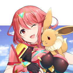 This is a pixiv picture whose title is ホムラ×ポカブ.