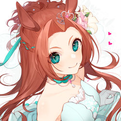 This is a pixiv picture whose title is カワカミプリンセス.