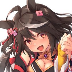 This is a pixiv picture whose title is キタサンブラック.