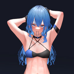 This is a pixiv picture whose title is S.