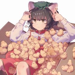 This is a pixiv picture whose title is 🐥🐈🐥.