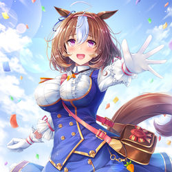 This is a pixiv picture whose title is メイショウドトウ.