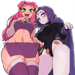 This is a pixiv picture whose title is starfire and raven.